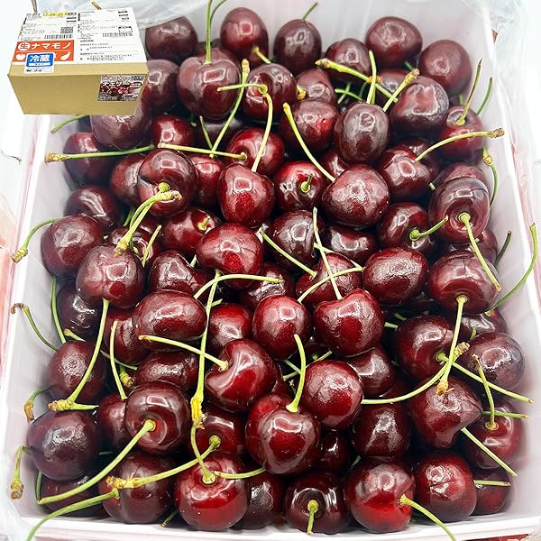 Amazon.co.jp: オーストラリア・チリ産チェリー空輸 大粒 9.5〜10row